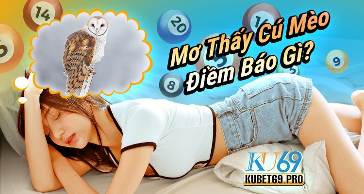 mơ thấy cú mèo đánh số gì